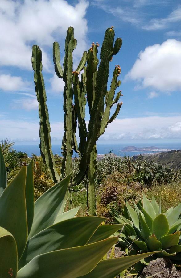 ארוקאס *****Finca Bella Vista מראה חיצוני תמונה