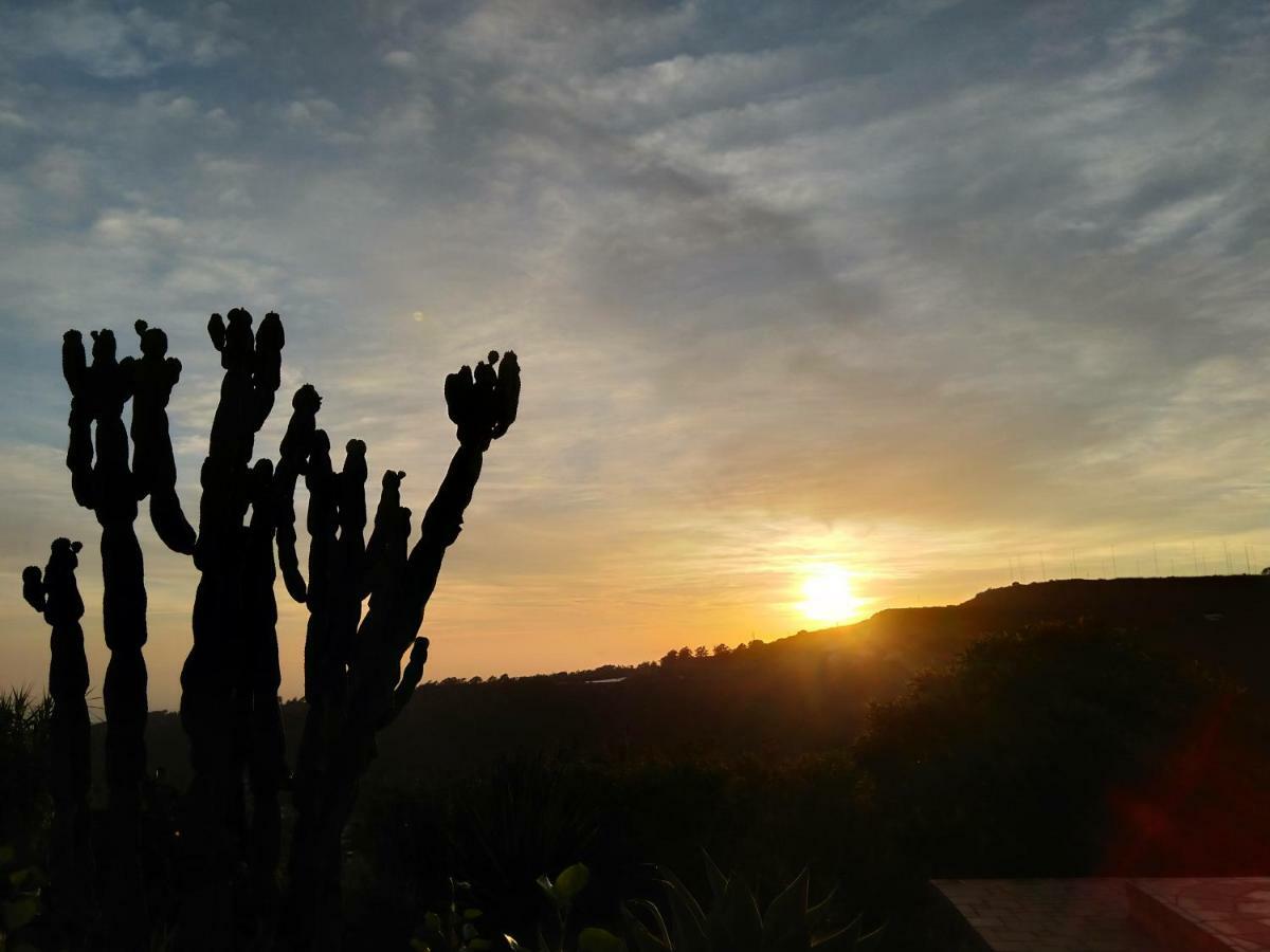 ארוקאס *****Finca Bella Vista מראה חיצוני תמונה